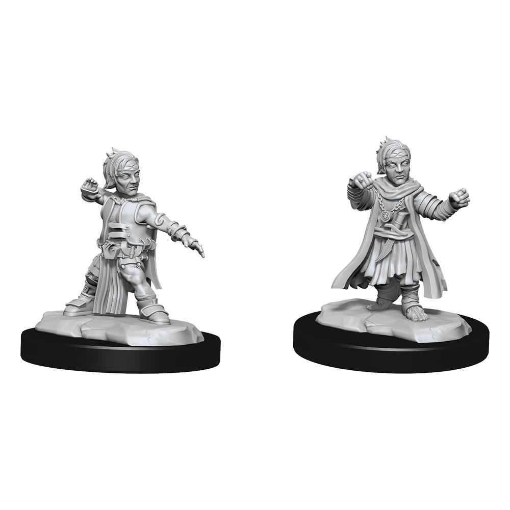 Pathfinder Battles Deep Cuts Unpainted Miniatures Halfing Monk Male Case (2)