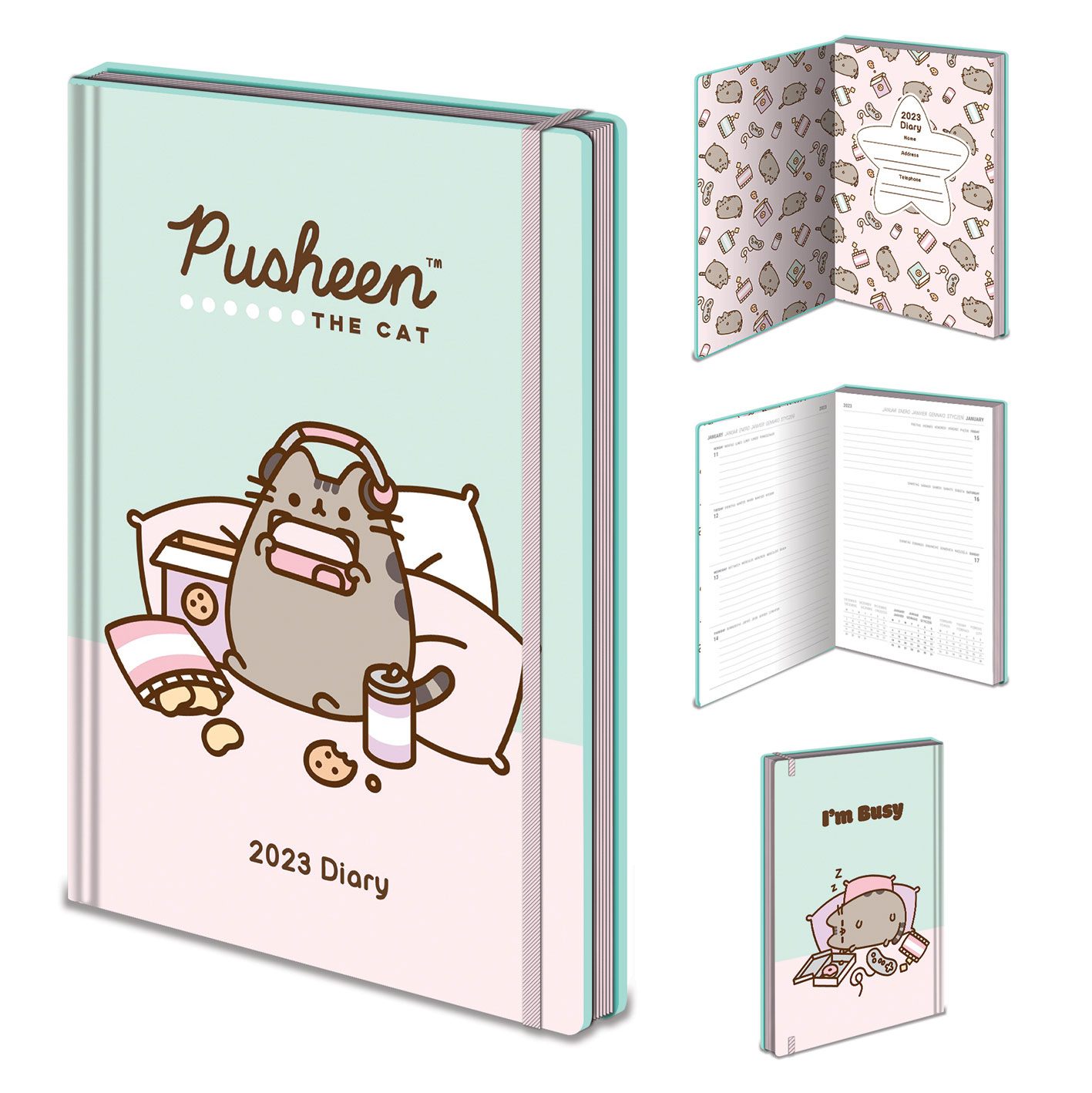 Pusheen Diary 2023 I'm Busy