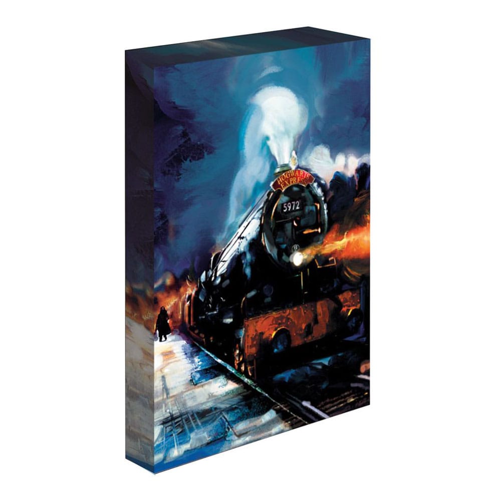 Harry Potter Canvas Print Hogwarts Express 30 x 40cm