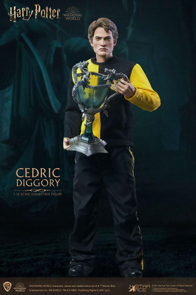 Harry Potter My Favourite Movie Action Figure 1/6 Cedric Diggory Triwizard Version 30 cm